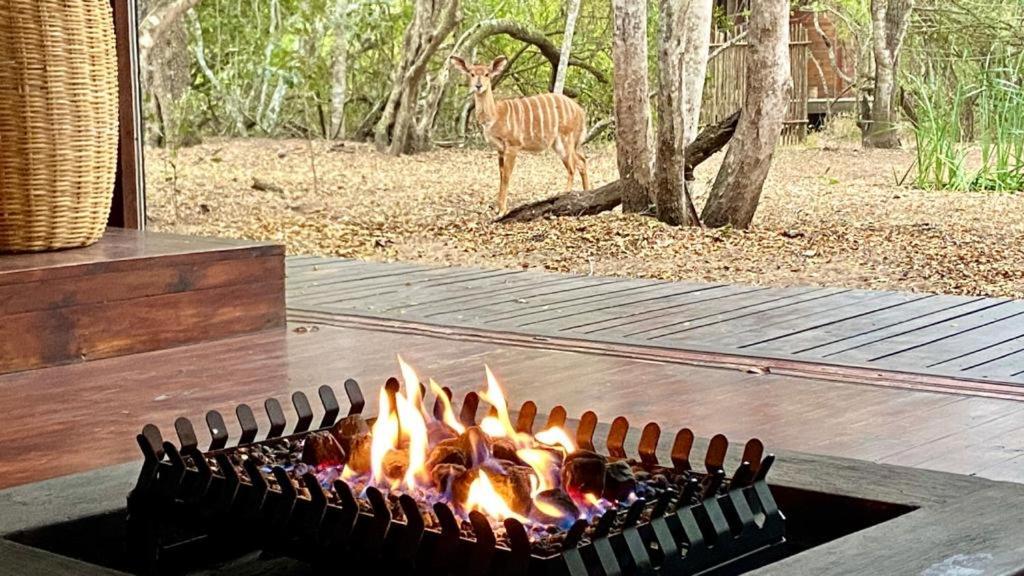 Hideaways Lazuli Bush Lodge, Hluhluwe Eksteriør bilde
