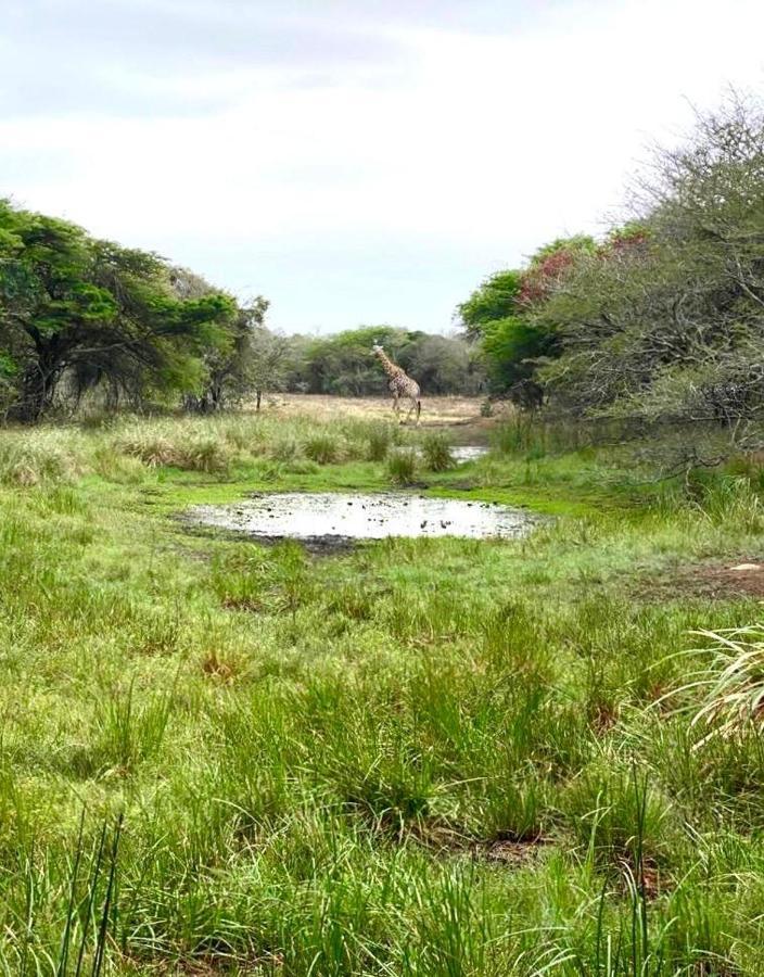 Hideaways Lazuli Bush Lodge, Hluhluwe Eksteriør bilde